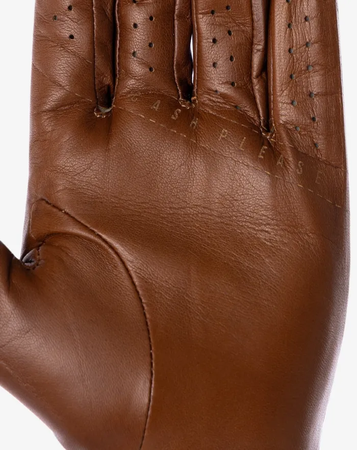 Accessories Golf Gloves TravisMathew PREMIER 20 GOLF GLOVE Bourbon