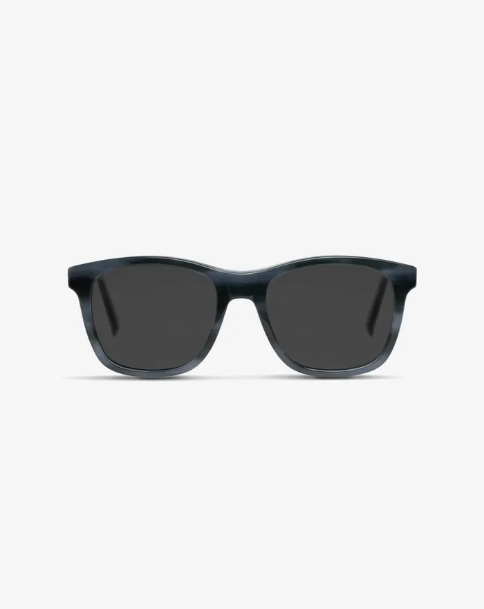 Accessories Sunglasses TravisMathew HOLY GRAIL 20 SUNGLASSES Grey Tort