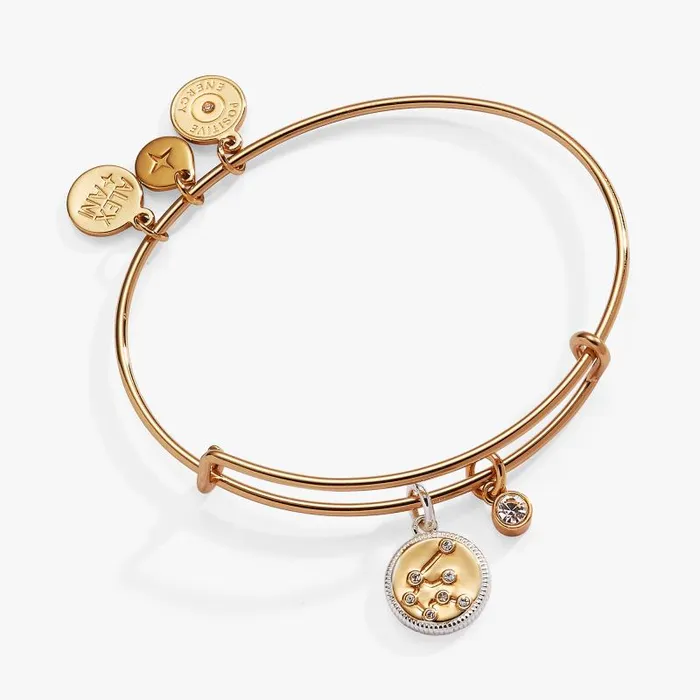 Bracelets Women Alex And Ani Aquarius Zodiac Charm Bangle Two Tone