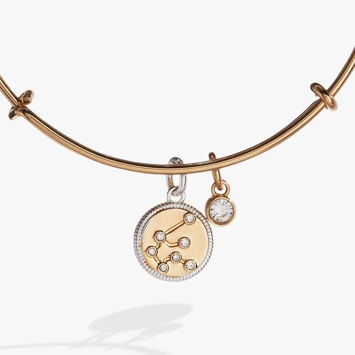 Bracelets Women Alex And Ani Aquarius Zodiac Charm Bangle Two Tone