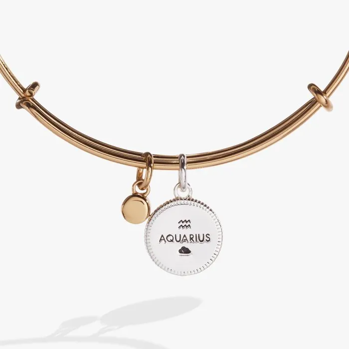 Bracelets Women Alex And Ani Aquarius Zodiac Charm Bangle Two Tone