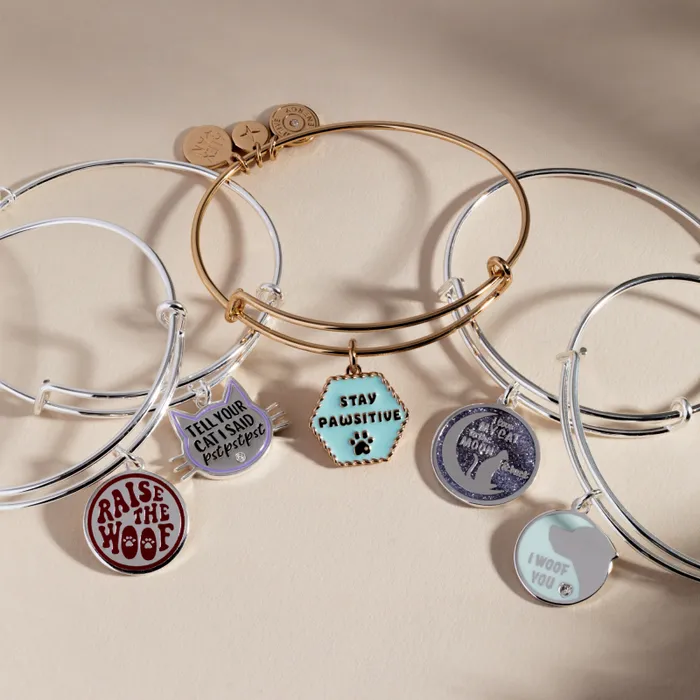 Bracelets Women Alex And Ani Dog 039I Woof You039 Bangle Silver