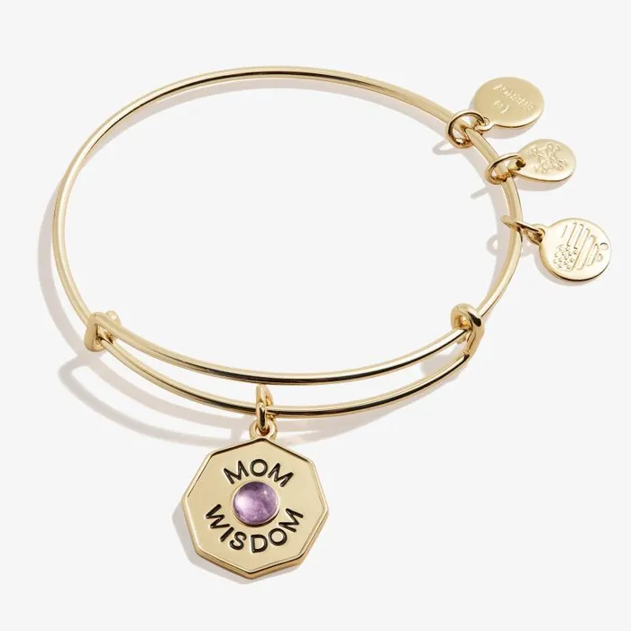 Bracelets Women Alex And Ani Mom Wisdom039 Amethyst Charm Bangle Bracelet Silver