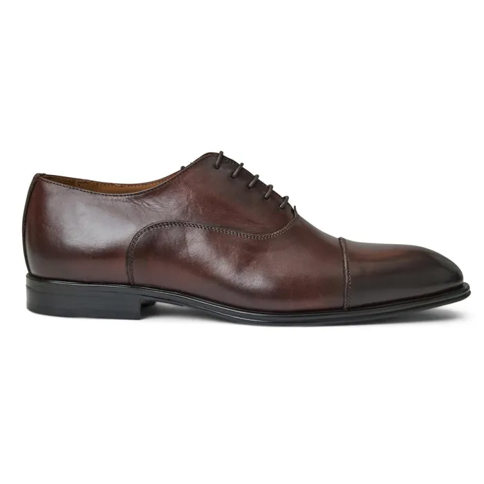Bruno Magli ADRIANOBROWN Men Laceups and Oxfords