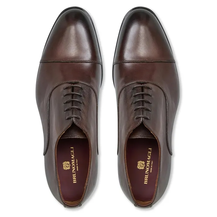 Bruno Magli ADRIANOBROWN Men Laceups and Oxfords