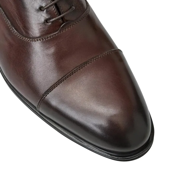Bruno Magli ADRIANOBROWN Men Laceups and Oxfords