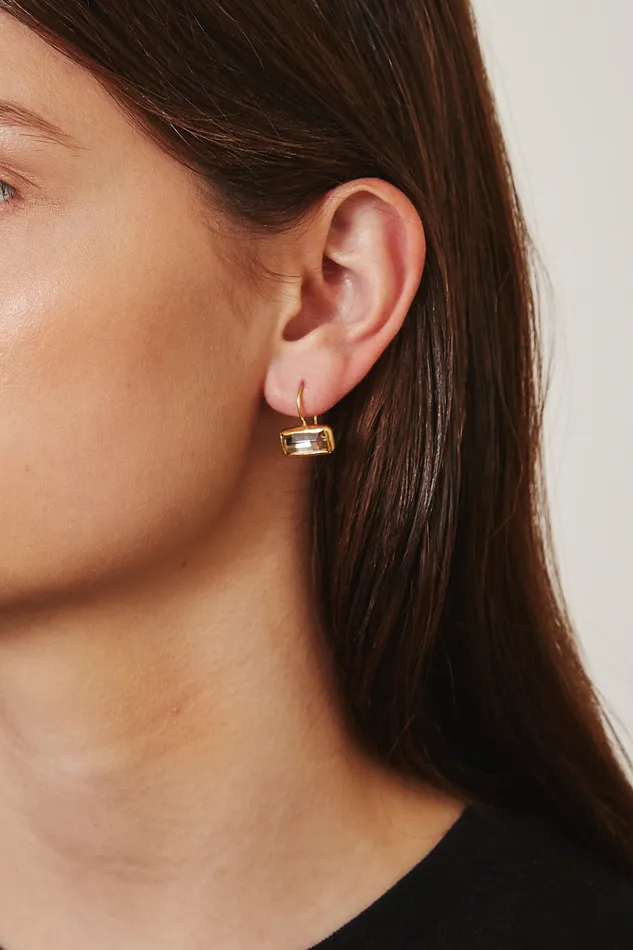 Chan Luu Earrings Silver Shade Crystal Tab Earrings 8211 Women