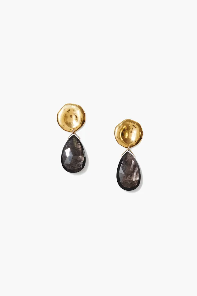 Chan Luu Earrings Yasmine Coin Drop Earrings Hypersthene 8211 Women