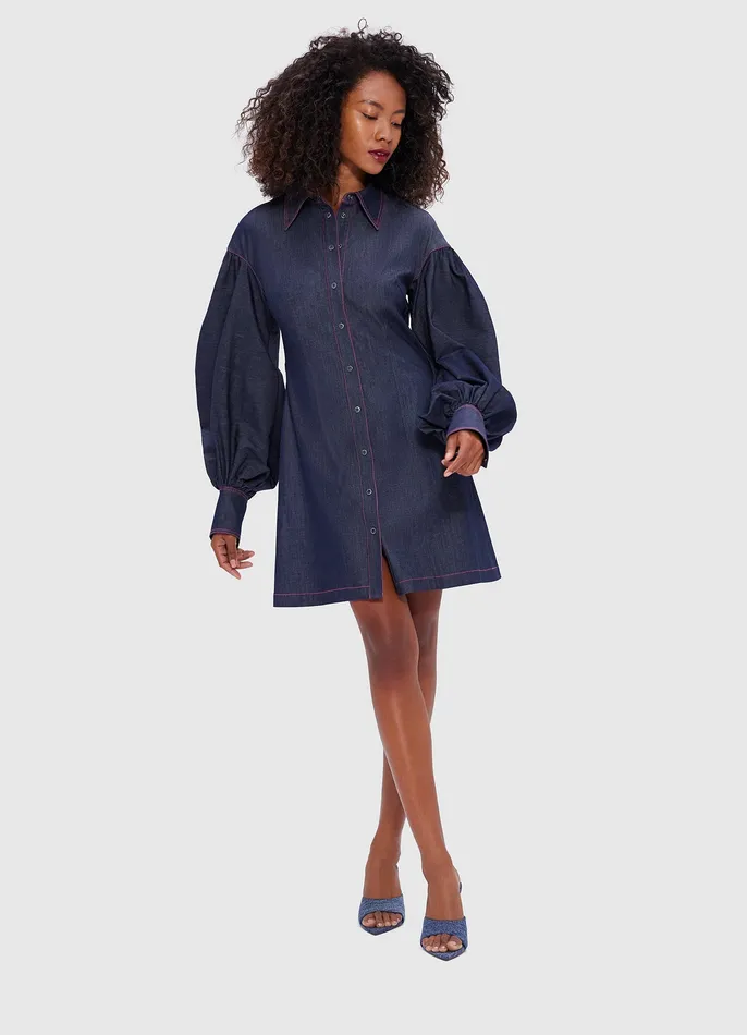Dresses and Jumpsuits Juliana Shirt Denim Mini Dress Indigo LEO LIN Women