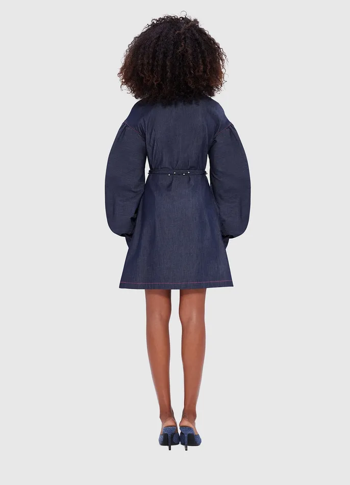 Dresses and Jumpsuits Juliana Shirt Denim Mini Dress Indigo LEO LIN Women