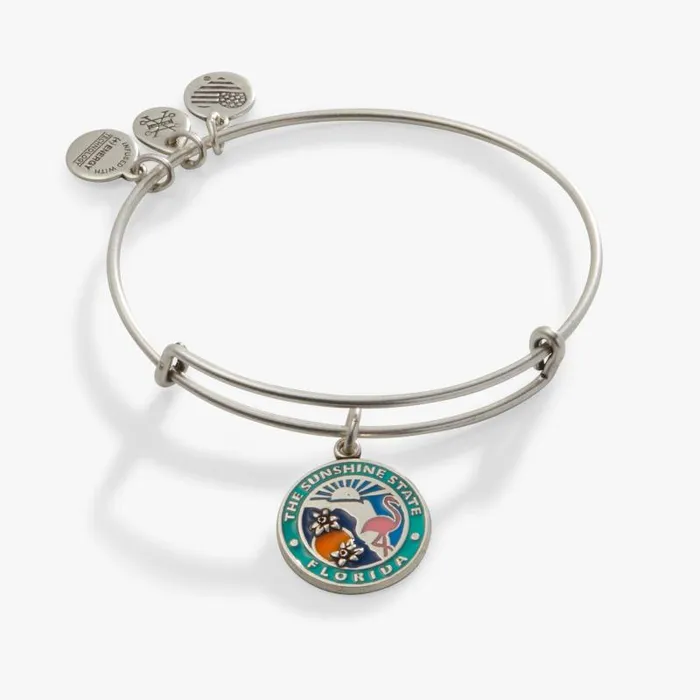 Iconic Women Alex And Ani Florida Charm Bangle Bracelet Rafaelian Silver