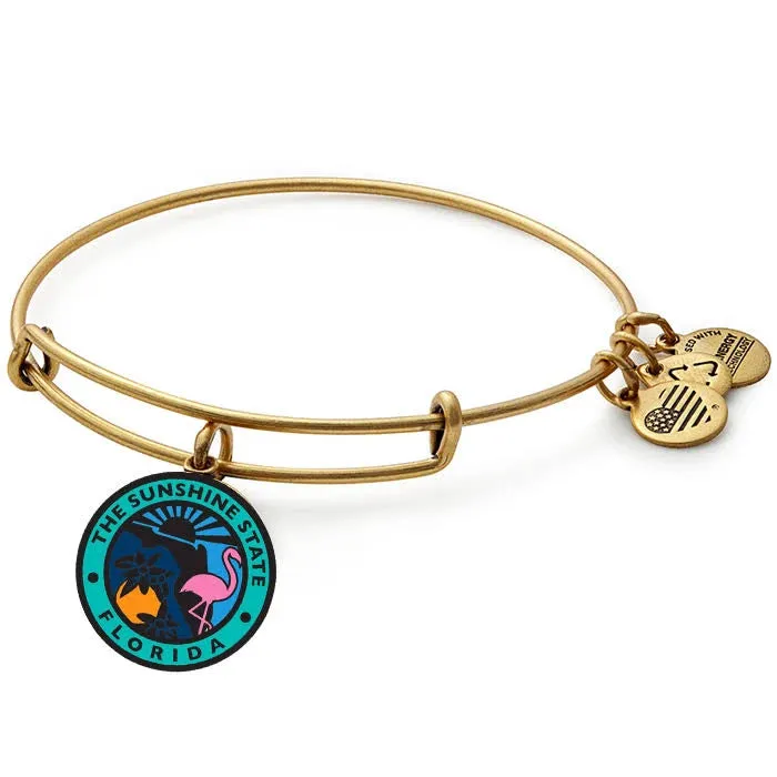 Iconic Women Alex And Ani Florida Charm Bangle Bracelet Rafaelian Silver