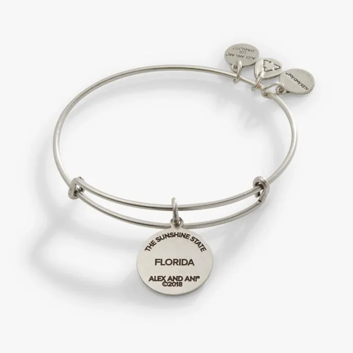Iconic Women Alex And Ani Florida Charm Bangle Bracelet Rafaelian Silver