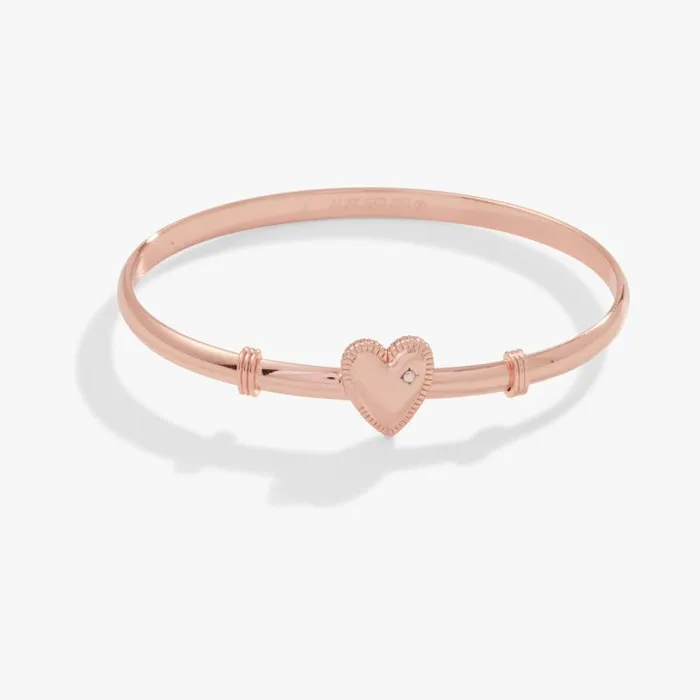 Iconic Women Alex And Ani Heart Clip Bangle Bracelet Rose Gold