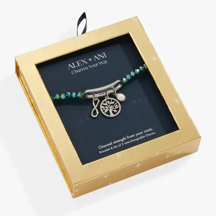 Jewelry Sets Women Alex And Ani Family Mix Match Charm Stretch Bracelet Silver