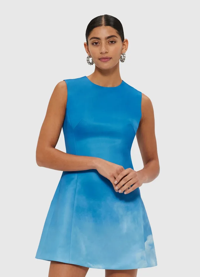 LEO LIN Dresses and Jumpsuits Women Chloe Sleeveless Mini Dress 8211 Aerial Print