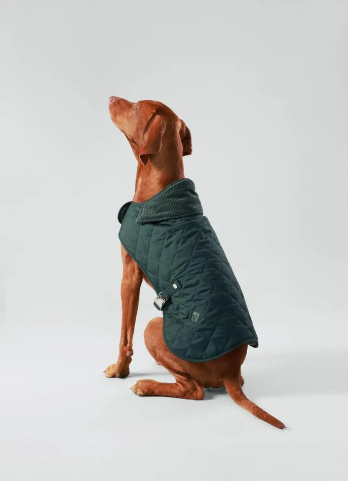 Men Hackett X Hugo and Hudson Hackett London Quilted Jacket For Dogs 8211 Medium Dark Green