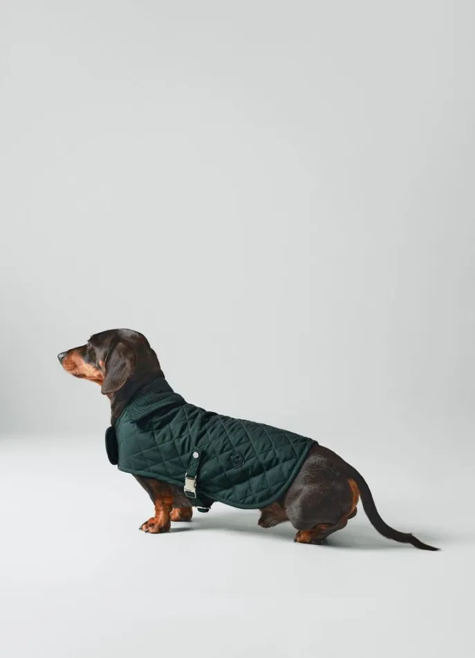Men Hackett X Hugo and Hudson Hackett London Quilted Jacket For Dogs Small Dark Green Men Hackett X Hugo and Hudson Hackett London Quilted Jacket For Dogs Small Dark Green