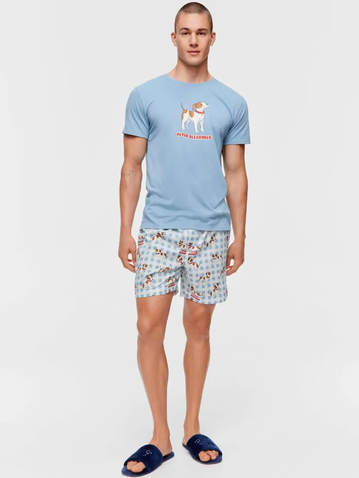 Men Jack Russell Tee Blue Peter Alexander Tops