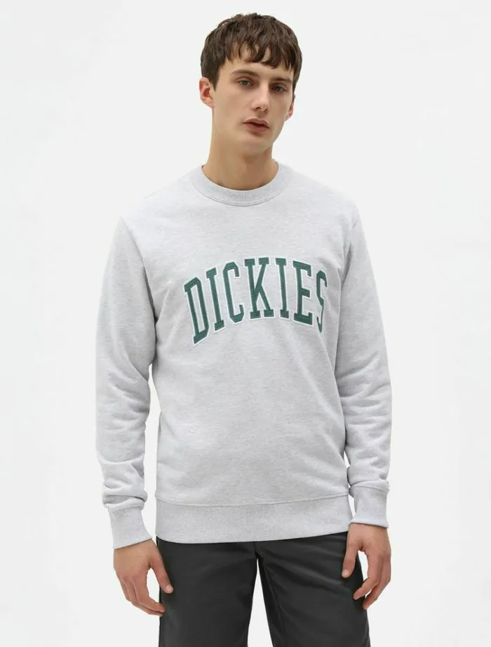 Men Jumpers and Sweatshirts Dickies Aitkin Sweatshirt Light Grey