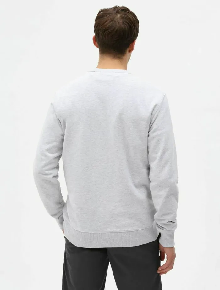 Men Jumpers and Sweatshirts Dickies Aitkin Sweatshirt Light Grey