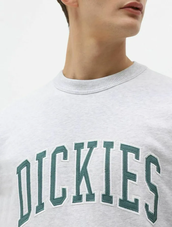 Men Jumpers and Sweatshirts Dickies Aitkin Sweatshirt Light Grey