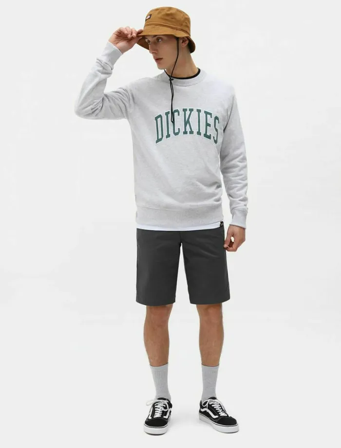 Men Jumpers and Sweatshirts Dickies Aitkin Sweatshirt Light Grey