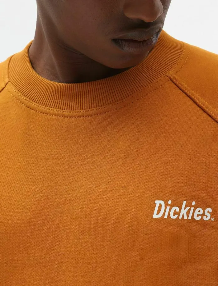 Men Jumpers and Sweatshirts Dickies Bettles Sweatshirt Pumpk Spice