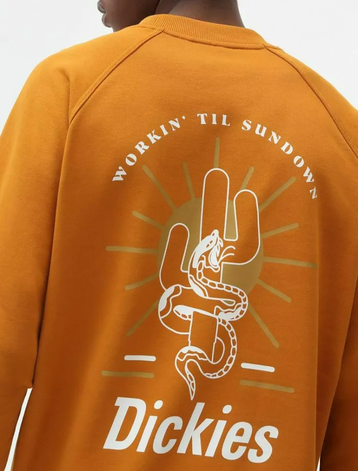 Men Jumpers and Sweatshirts Dickies Bettles Sweatshirt Pumpk Spice
