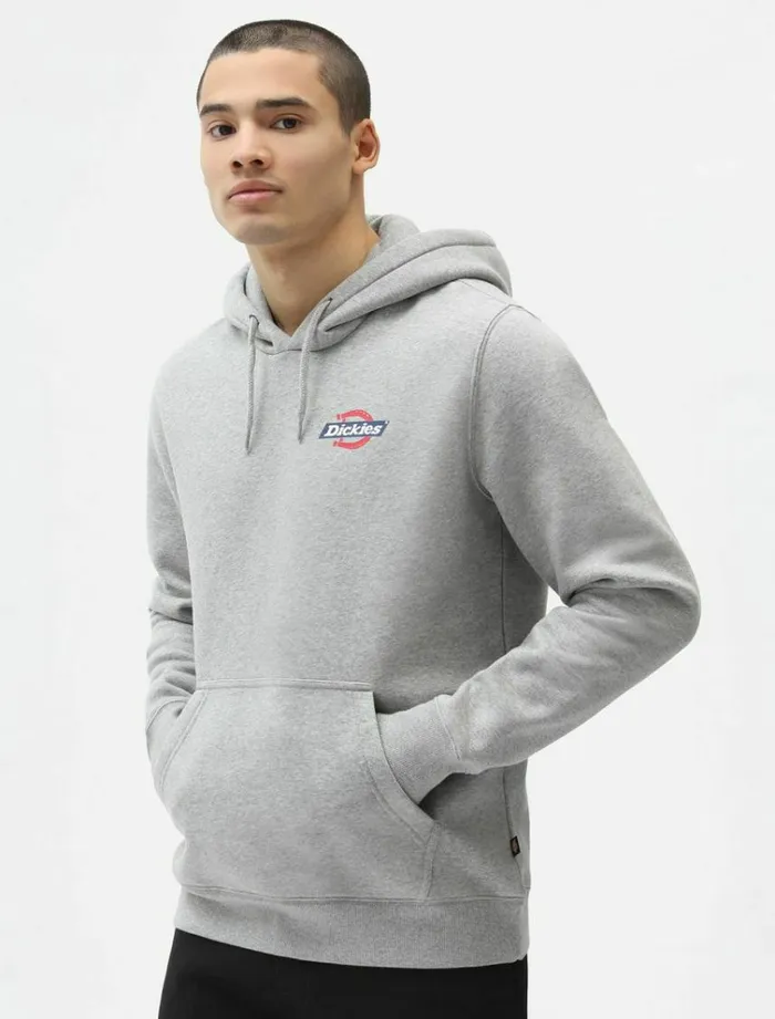 Men Jumpers and Sweatshirts Dickies Ruston Hoodie Grey Melange