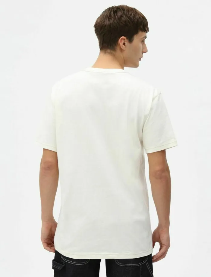 Men TShirts Dickies Halma TShirt Ecru