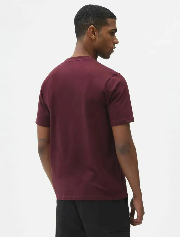 Men TShirts Dickies Icon Logo TShirt Maroon