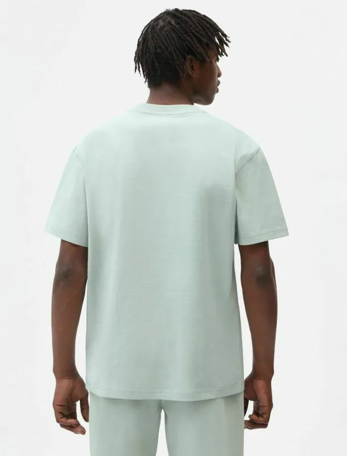 Men TShirts Dickies Porterdale TShirt Jadeite