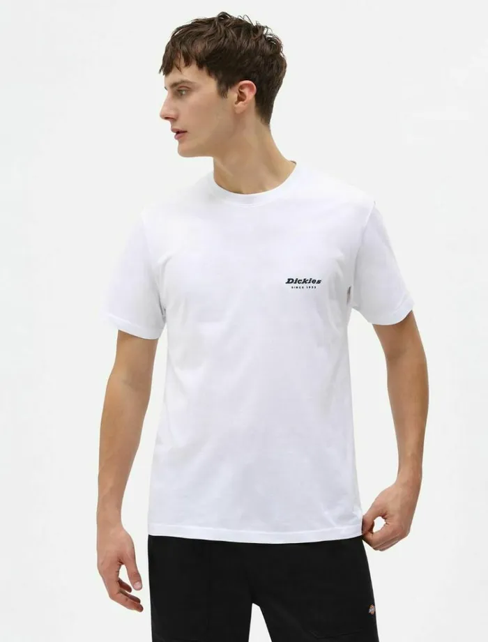 Men TShirts Dickies Quamba Box TShirt White