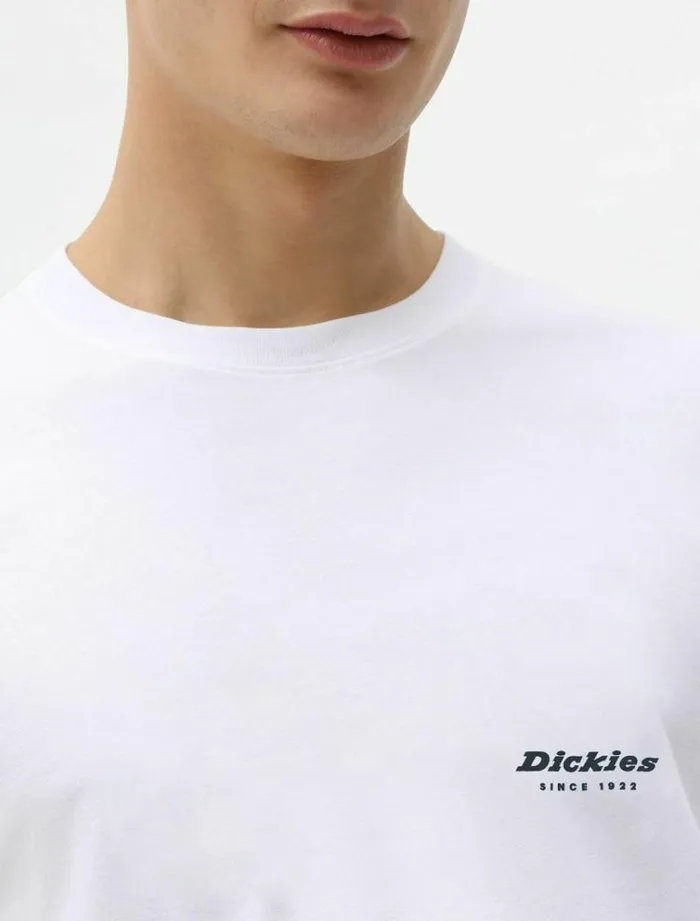 Men TShirts Dickies Quamba Box TShirt White