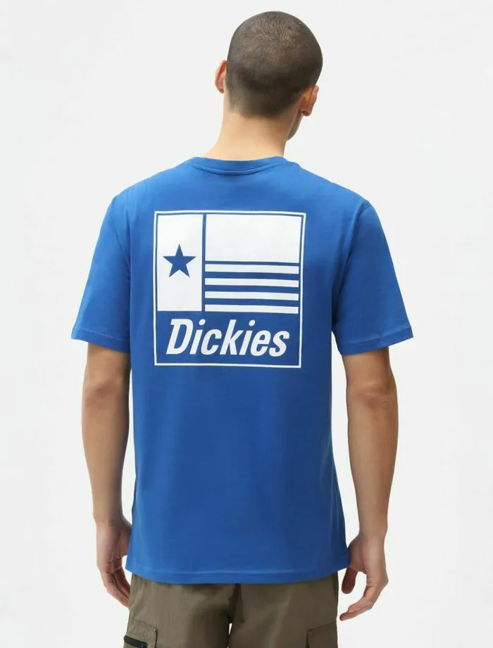 Men TShirts Dickies Taylor TShirt True Blue