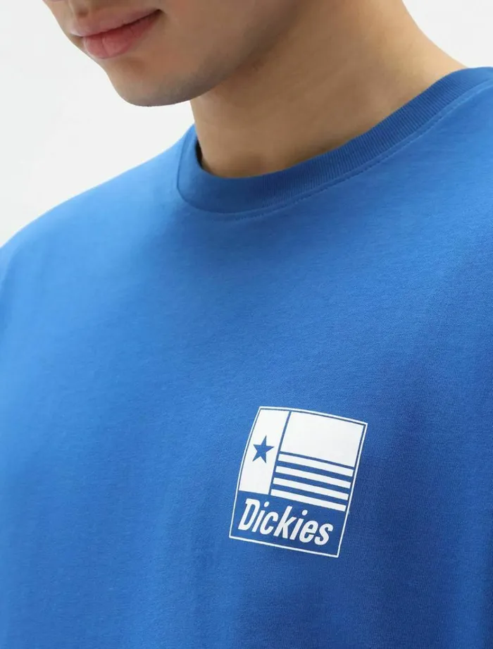 Men TShirts Dickies Taylor TShirt True Blue