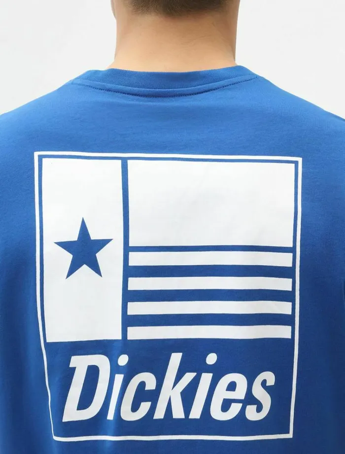 Men TShirts Dickies Taylor TShirt True Blue