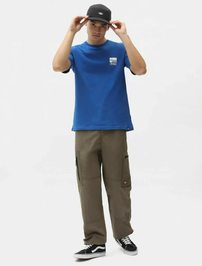Men TShirts Dickies Taylor TShirt True Blue