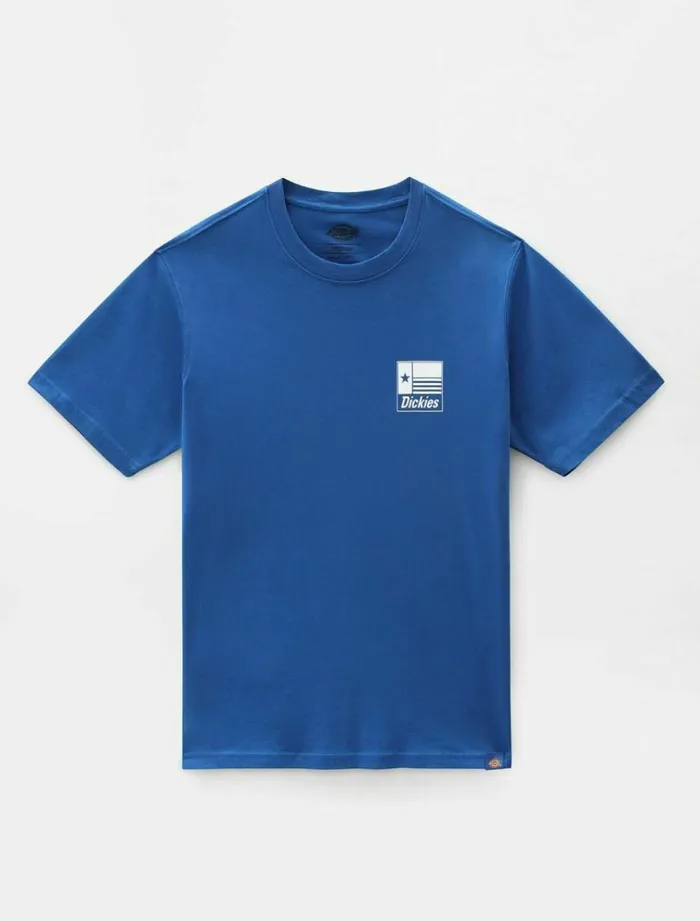 Men TShirts Dickies Taylor TShirt True Blue