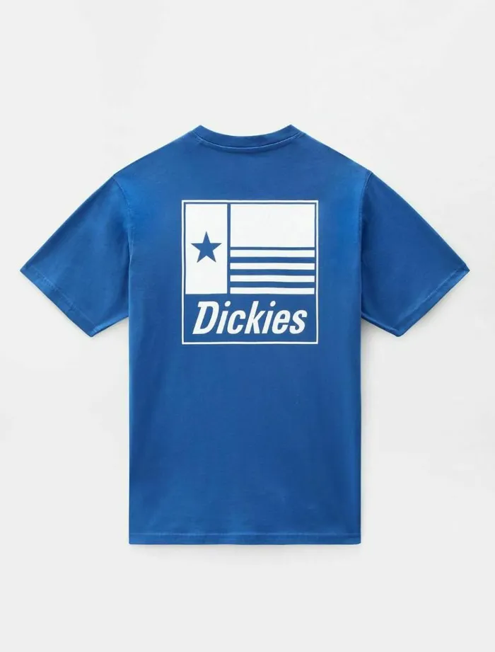 Men TShirts Dickies Taylor TShirt True Blue