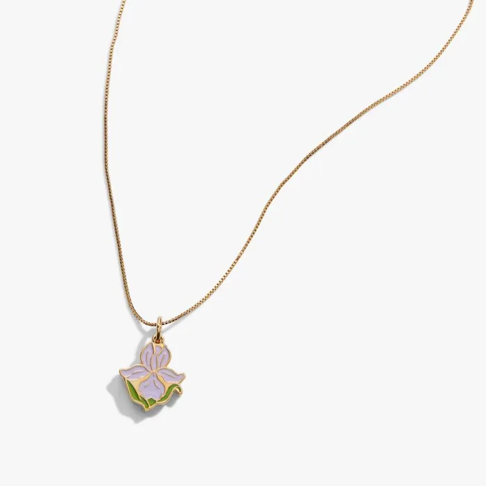 Necklaces Women Alex And Ani Iris Flower 039Friendship Is A Precious Gift039 Necklace Gold
