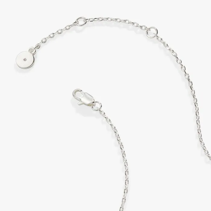 Necklaces Women Alex And Ani Turquoise Horseshoe Necklace Silver