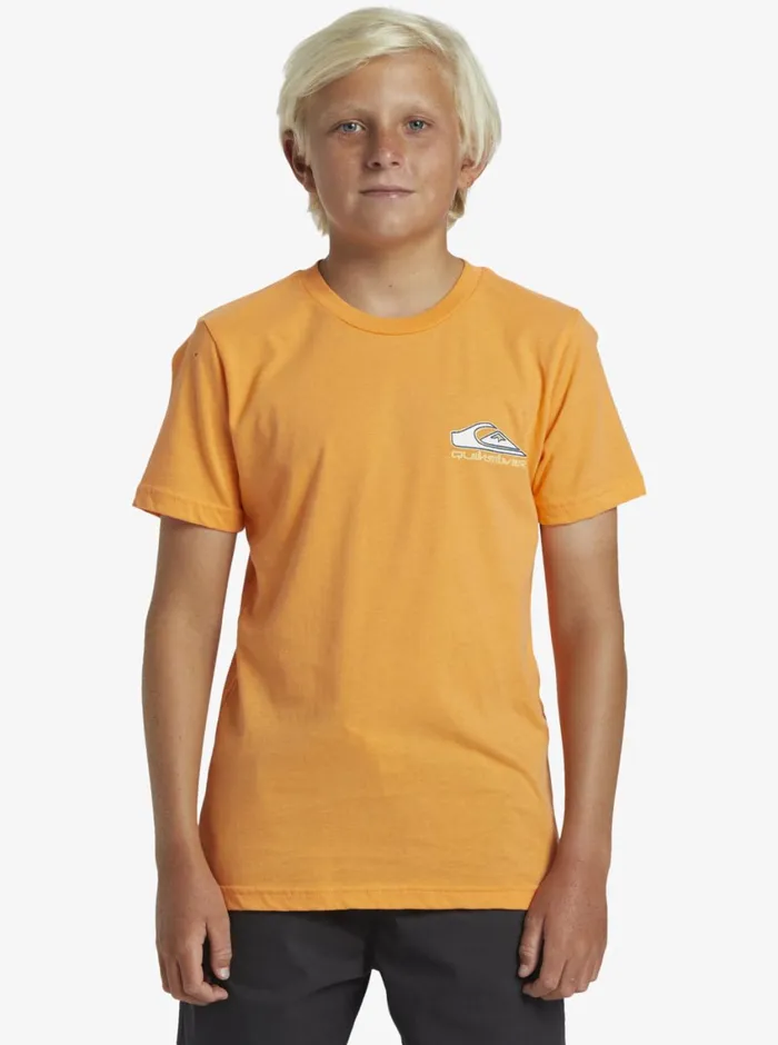 Quiksilver 816 Step Up TShirt Tangerine Boys Tees