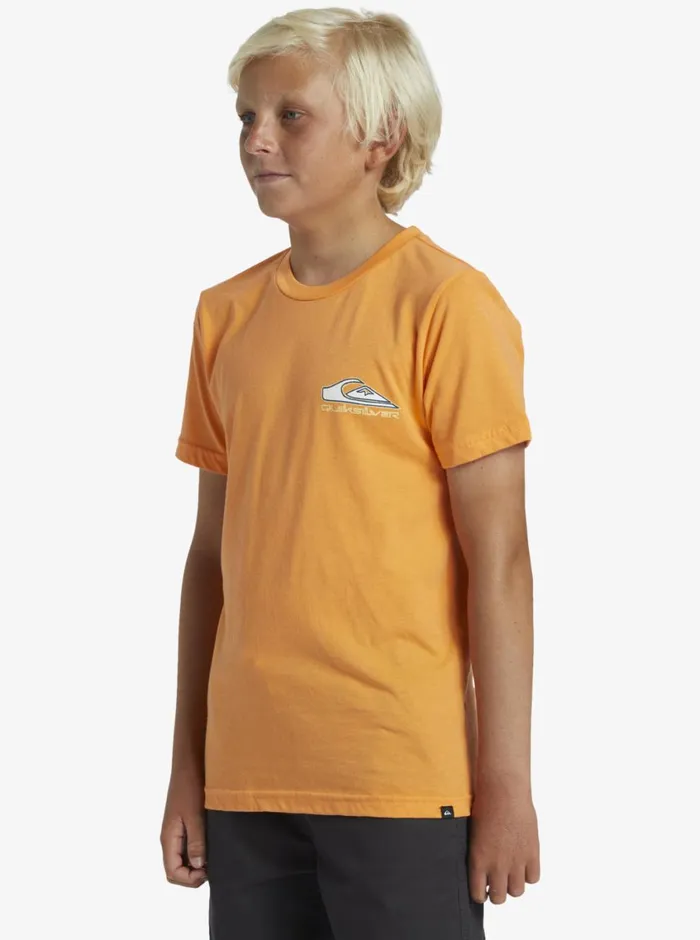 Quiksilver 816 Step Up TShirt Tangerine Boys Tees Quiksilver 816 Step Up TShirt Tangerine Boys Tees