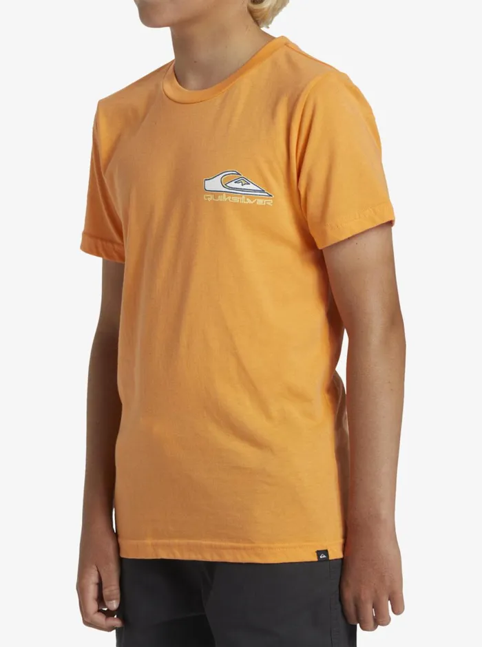 Quiksilver 816 Step Up TShirt Tangerine Boys Tees Quiksilver 816 Step Up TShirt Tangerine Boys Tees
