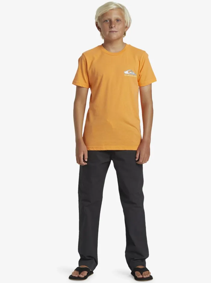 Quiksilver 816 Step Up TShirt Tangerine Boys Tees Quiksilver 816 Step Up TShirt Tangerine Boys Tees