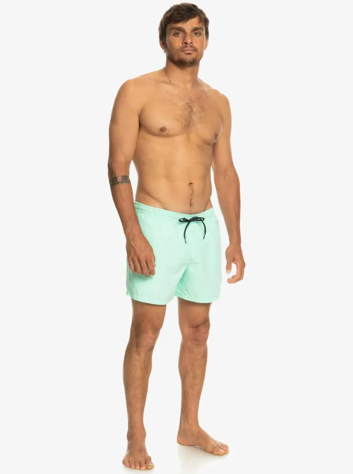 Quiksilver Everyday 15034 Volleys Green Gecko Mens Elastic Waist Quiksilver Everyday 15034 Volleys Green Gecko Mens Elastic Waist