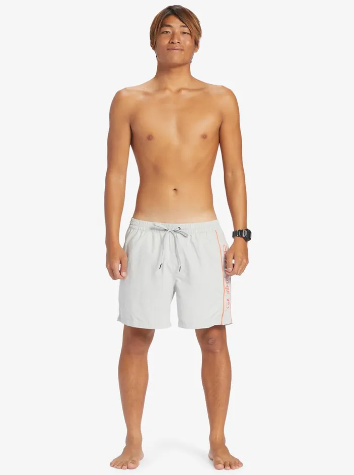 Quiksilver Everyday Vert 16034 Volleys Gray Violet Mens Elastic Waist Quiksilver Everyday Vert 16034 Volleys Gray Violet Mens Elastic Waist