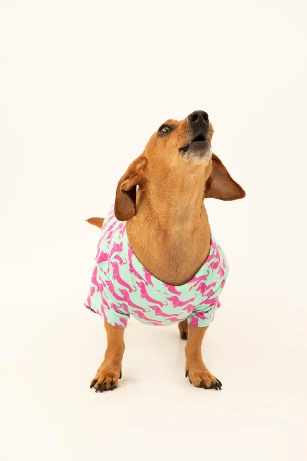 SHOP Trina Turk PETS DOG WALK JERSEY PET PAJAMA SHIRT